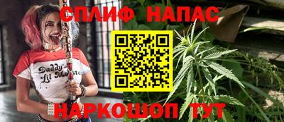Альфа ПВП Севастополь