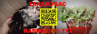 амф Северобайкальск