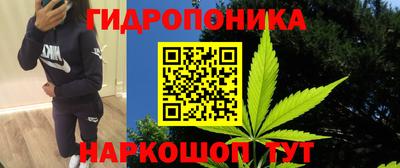 Альфа ПВП Севастополь