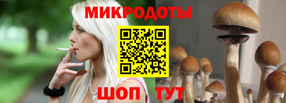 Псилоцибиновые грибы Psilocybe Новоуральск